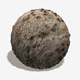 Dry Forest Ground Seamless Texture - 3DOcean Item for Sale