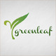 Green Leaf Logo - GraphicRiver Item for Sale