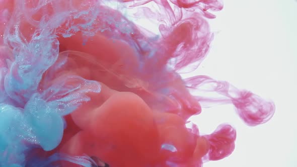 Blue and Red Ink Mixing in Water on White Background, Slow Motion.