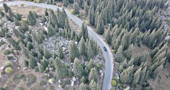 The Car Is Driving on a Road in the Forest