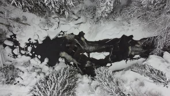 A stream flowing through the winter forest to the waterfall. Aerial view (Drone shot)