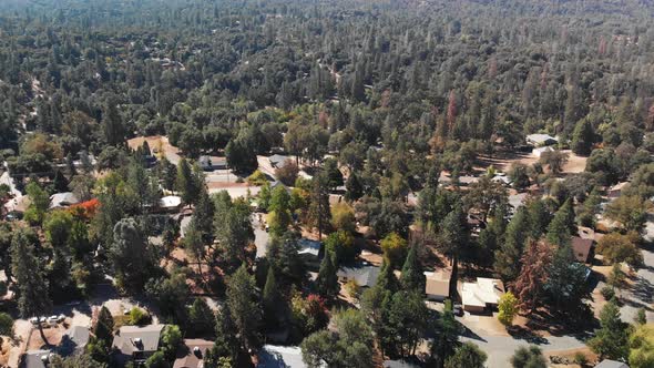 Aerial shot of a mountain neighborhood surrounded by pine trees and oaks.