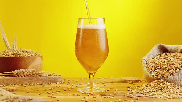 Foamy Beer in Glass Closeup