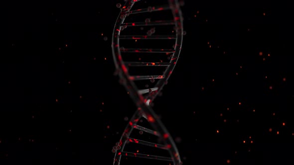 Abstract Dna Medical Animation
