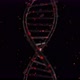 Abstract Dna Medical Animation - VideoHive Item for Sale