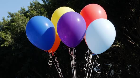 colorful balloons with the colors of the rainbow