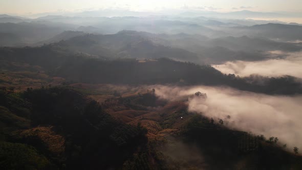 4K Aerial Flying Above Fog at Sunrise