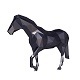 Horse Low Poly v2 - 3DOcean Item for Sale