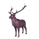 Elk Low Poly - 3DOcean Item for Sale