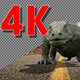 Lizard And Bat Pack Of 5 - VideoHive Item for Sale
