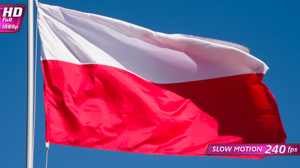 Polish Flag Waves The Wind
