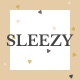 Sleezy Lifestyle - Marketing WordPress Theme - ThemeForest Item for Sale
