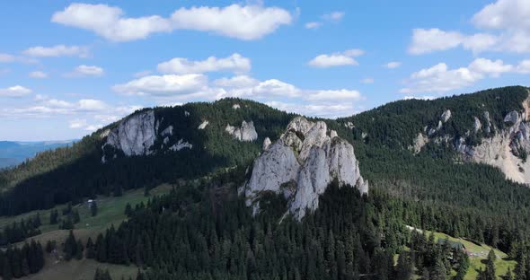 Evergreen Forest On Foothill Of The Lonely Rock Jagged And Barren Mountain