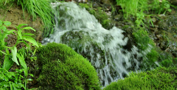 Small Waterfall In The Forest