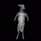 55 Zebra Dancing HD - VideoHive Item for Sale