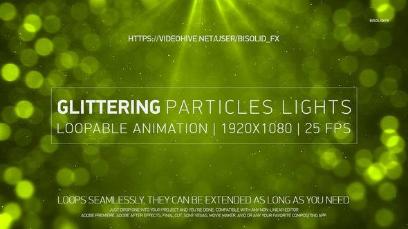 Glittering Particles Lights