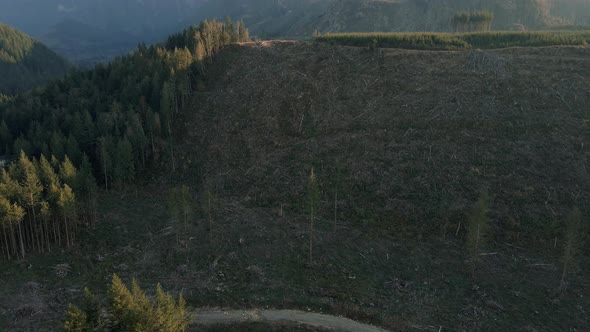 Aerial View Of Environmental Destruction With Deforestation On Mountain Forest