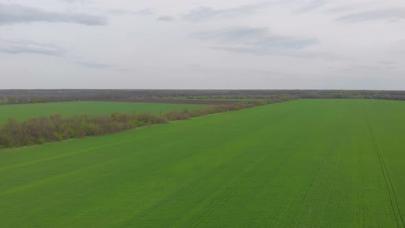 Landscape Aerial Green Field