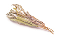 Dry Sage isolated - PhotoDune Item for Sale