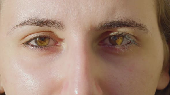 Close up of the beautiful light brown eyes of caucasian female looking straight to the camera with n