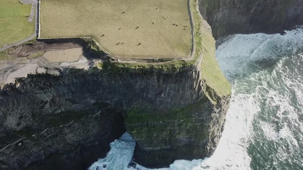 Top drone view of cliffs of Moher, fields and walking path and the white foam form the atlantic ocea