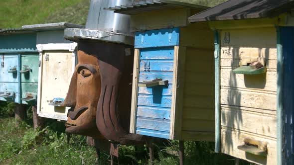 Wooden Beehives on Nature Background in Summer.