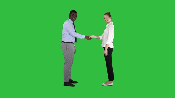 Handshake of business woman and business man posing for