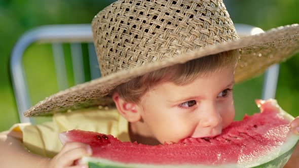 Handsome Toddler Boy Eating Fresh Red Watermelon