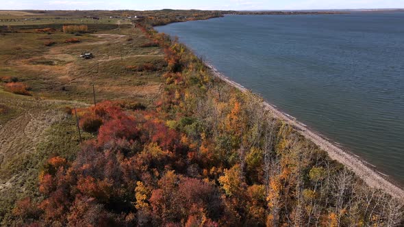 Colourful autumn foliage along shoreline of Buffalo Lake in rural Canada. Slowly descending aerial f