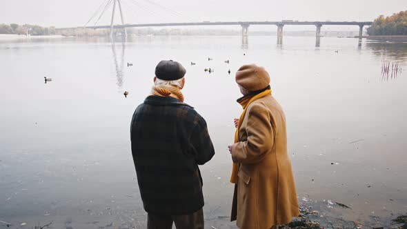 Loving Aged Pair Standing on Bank of River and Feeding Ducks Floating in It During a Walk in Park on