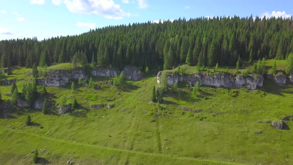 Aerial View of the Terrain Covered By Lush Green Vegetation