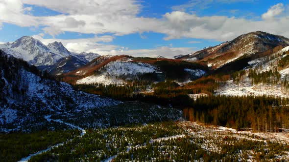 Beautiful Landscape with Mountains and forest in Winter