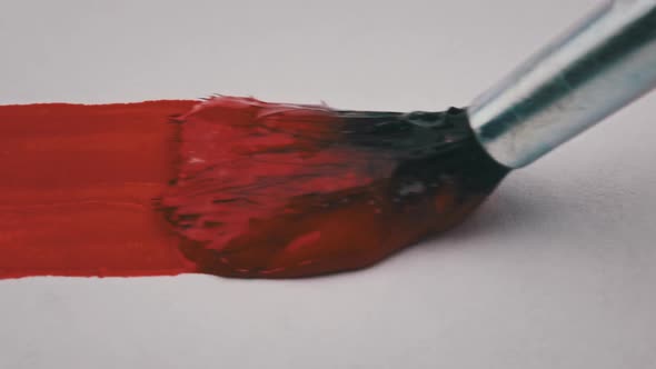 Brush With Red Paint Draws a Line on White Paper in Macro alt