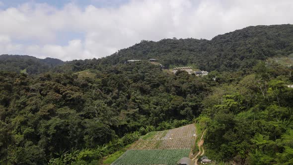 Cameron Highlands, Pahang Malaysia