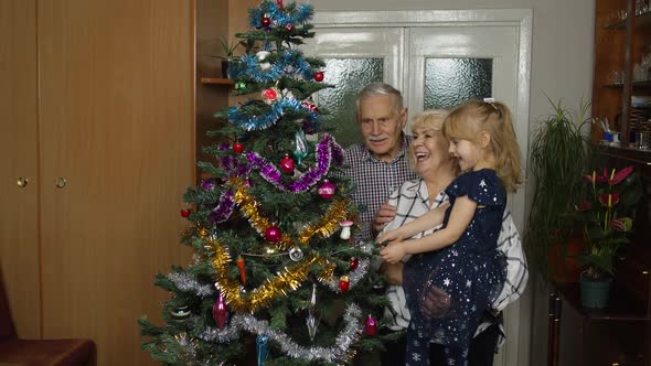 Kid with Senior Grandmother and Grandfather Decorating Artificial Christmas Tree Lights Garlands