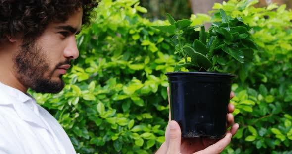 Man looking at pot plant