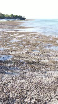 Vertical Video of Low Tide in the Ocean Near the Coast of Zanzibar Tanzania