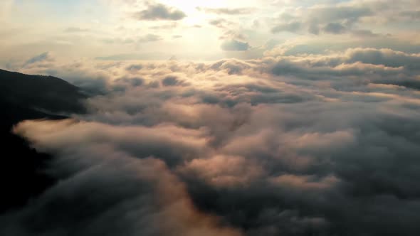 Aerial view: Amazing Thick Morning Fog Covering Mountains Spice and Spruce Forest.