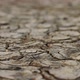 Motion of Dry Lake or River making Cracked Clay on Ground. Earth Day Concept. Dolly Slider Shot - VideoHive Item for Sale