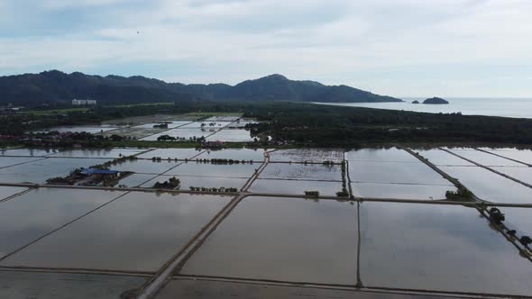 Aerial view flood season at paddy field