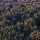 A drone flies over a forest near Moscow. The view from the height. - VideoHive Item for Sale