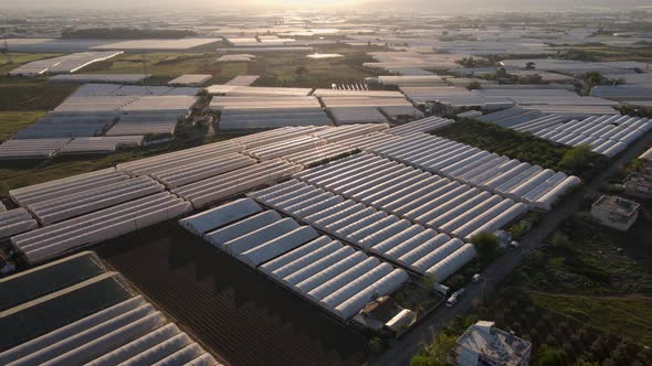 Industrial Agricultural Greenhouses