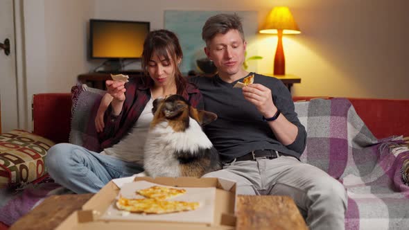 Couple with Dog Sitting Together on Couch and Eating Pizza