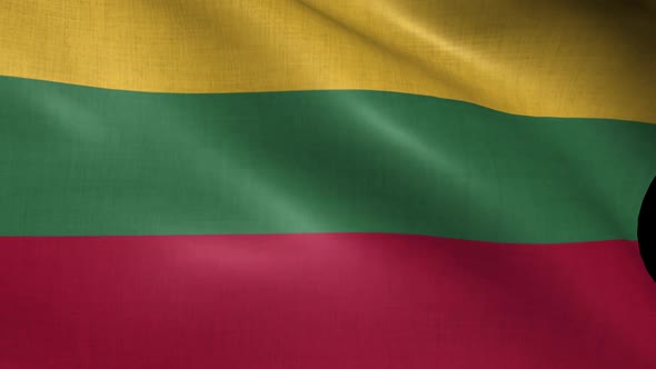 Lithuania Flag