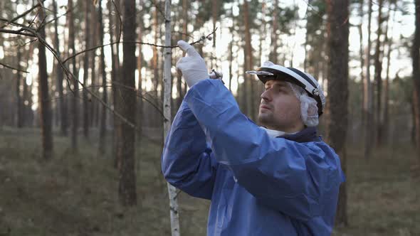 In a Forest Area, an Ecologist Takes Plant Samples and Puts them in a Container for Research