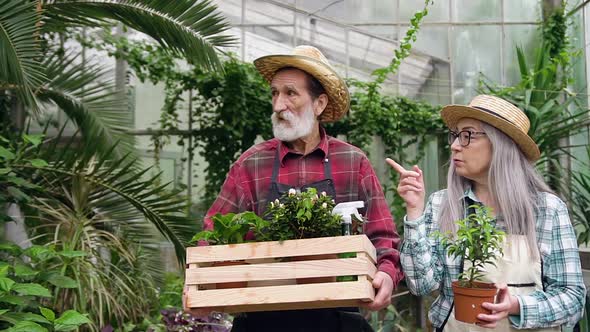 Senior Wife and Bearded Husband which Carrying Box with Flowerpots