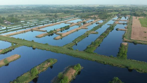 Dutch Polder Landscape, Grass And Farmland Near Weerribben, Netherlands - aerial pullback