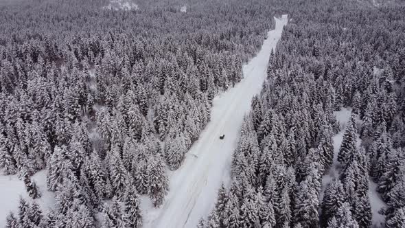 Aerial View of the snowed tree and car riding inside it