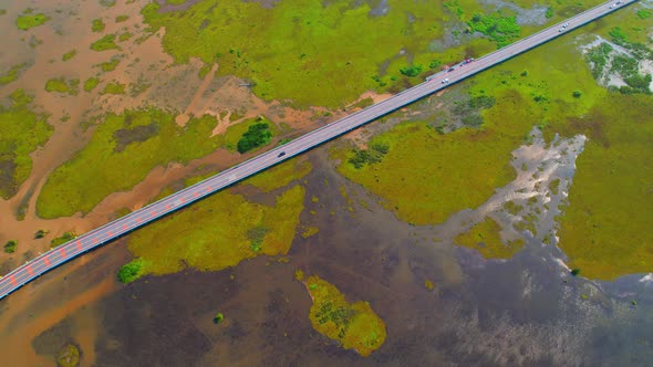 Aerial view from a drone over green and yellow plants in a large wetland