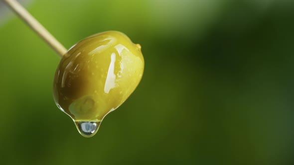 Wet Olive on Green Background Closeup